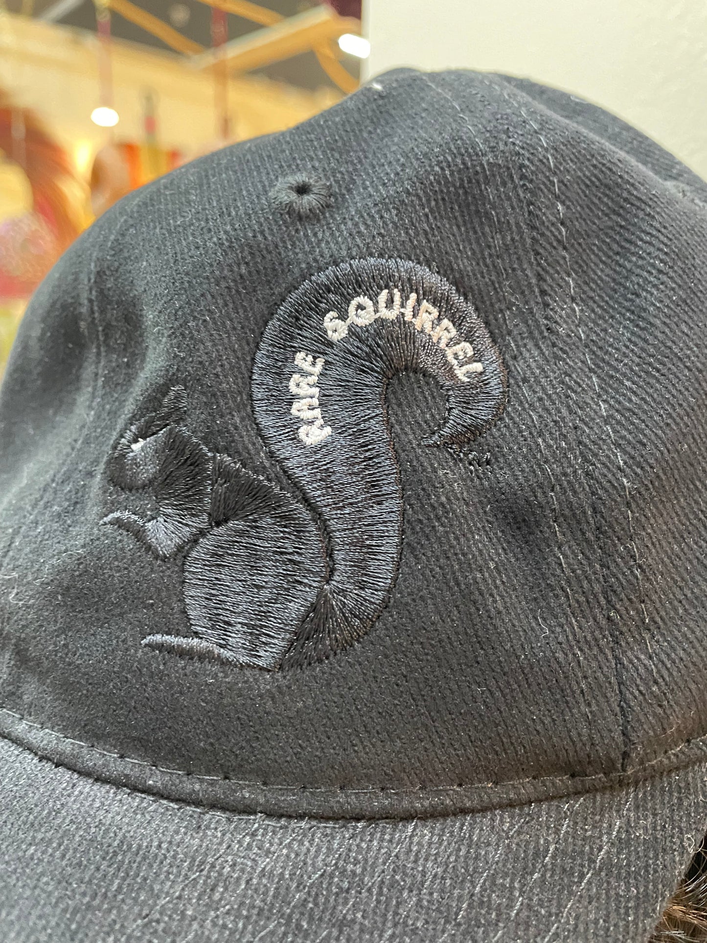 Rare Squirrel  in Black,